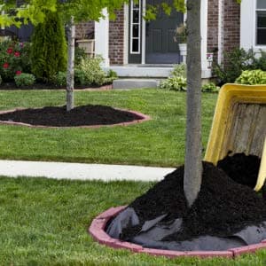 Landscape Weed Barrier