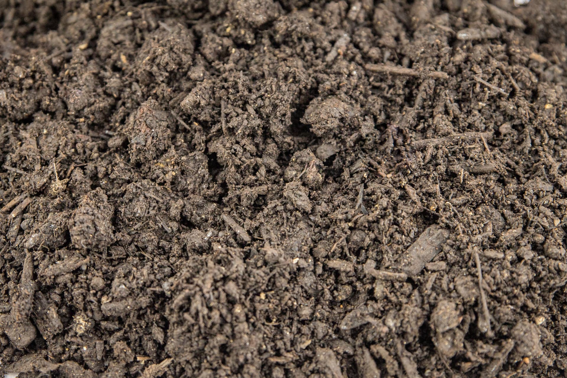Mushroom Compost