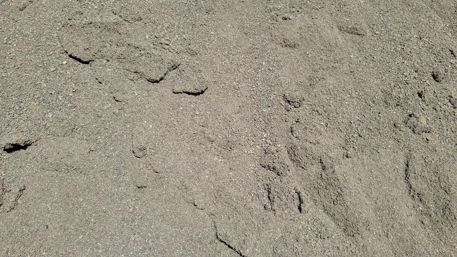 Coarse Sand