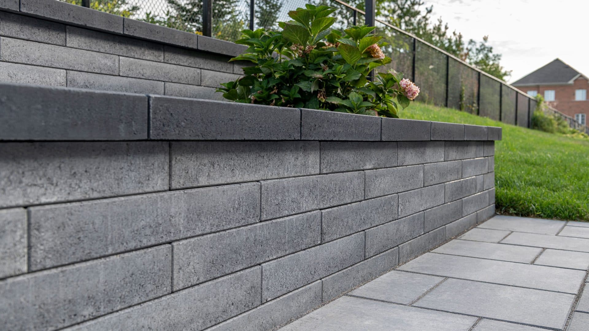 Pisa Smooth wall in Granite Blend